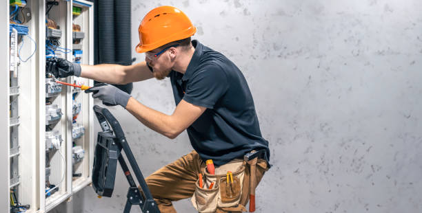 Best Electric Panel Repair  in South Les, AK